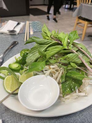 Fresh for your pho!