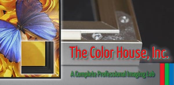 The Color House