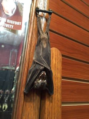 They sell real bats!