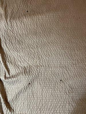 Several cigarette burns on comforter!