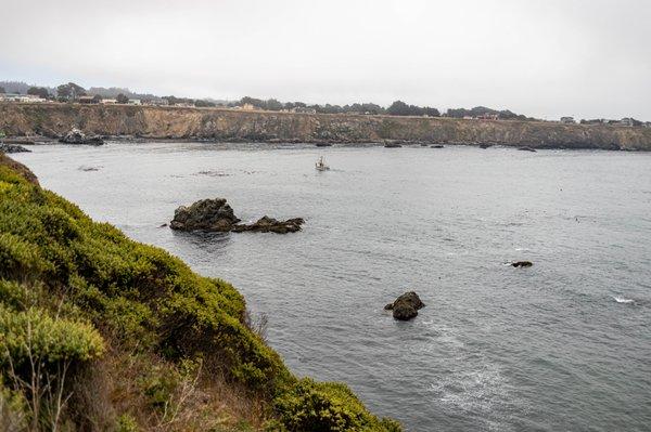 Noyo Headlands Park