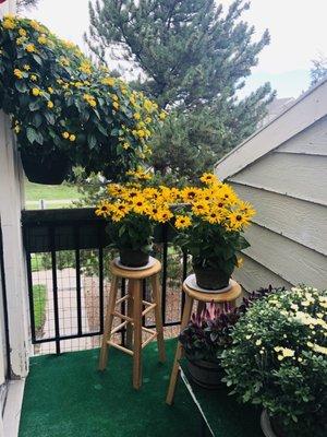 Patio garden