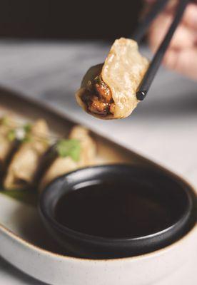 Homemade pan-fried pork dumplings