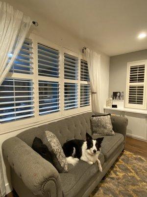 High quality wood window Shutters in the family Room.