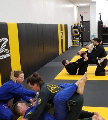 Brazilian Jiu Jitsu - Afternoon and Evening Classes