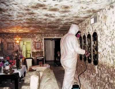 Don't let your mold problem get out of control before you call All Star Restoration