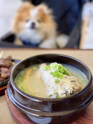 OUTDOOR DINING: Samgyetang - Korean Ginseng Chicken Soup | $21.95