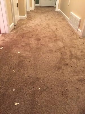 This mess was left in every room that carpet was applied.