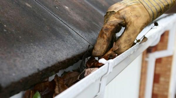 We clean gutters by hand at Agape. Service includes: clearing gutter trays, blowing off the roof and blowing out the downspouts.