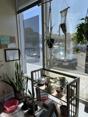 More plants and nice natural light in the seating area