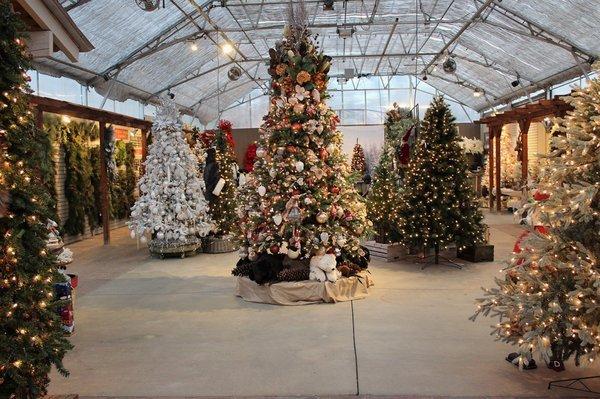 Have a browse through our Christmas Wonderland of trees in many themes.  Weekly sales on decor!