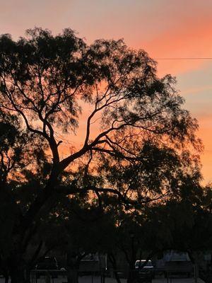 Sunset at San Angelo KOA