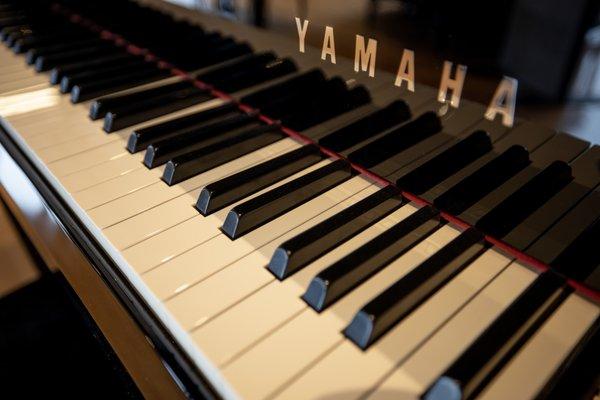 Exclusive Yamaha Piano Dealer