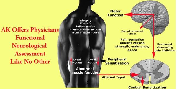 Functional Neurology -- the future of modern biomedicine