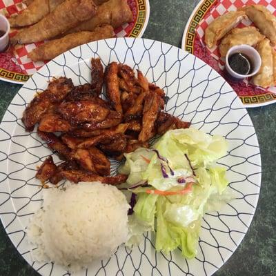 Spicy Teriyaki, Gyoza and Eggrolls