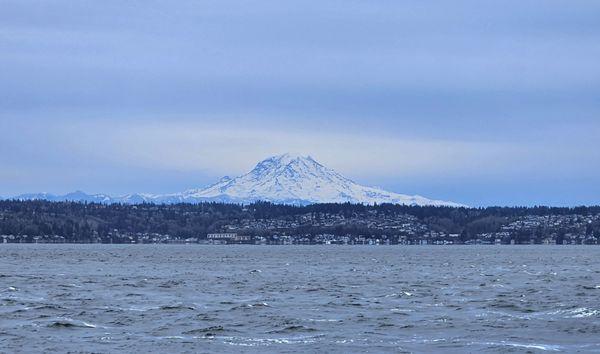 Mt. Rainier