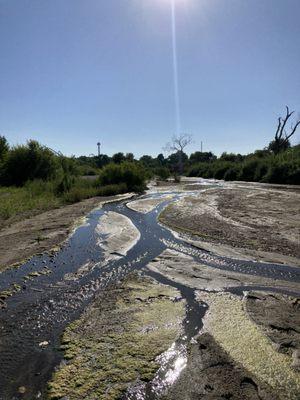 Down in the creek bed