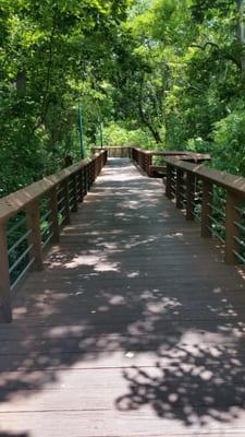 One of 3 paths and only one with a boardwalk. Empties out into the neighborhood.