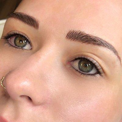 Combo Brow and Lash Lining