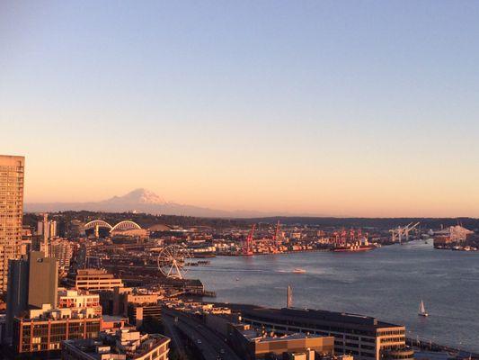 View from the rooftop deck