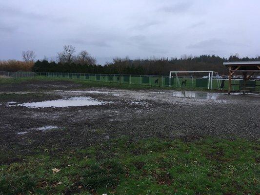 Mud pit in the dog park :(