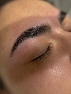 Brow Shaping and Lamination