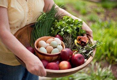 Local and organic ingredients from our garden and farmers near by.