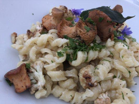 Wild harvest mushrooms with herbs and pasta by Riversong Gourmet