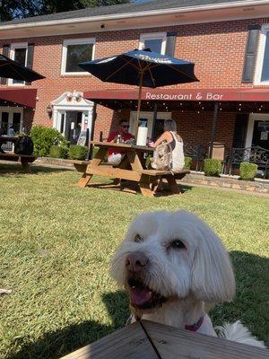 Henry enjoying himself close to the outside seating