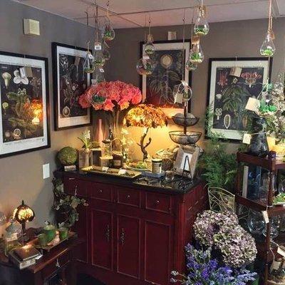 Hanging Succulent Globes/Bulbs and Stained Glass Lamps