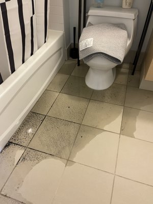 The drainpipe for the washer overflowed three times and flooded the bathroom with dirty water.