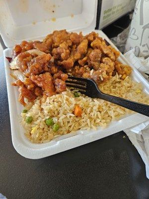 General Toao's chicken & jalapeno chicken!