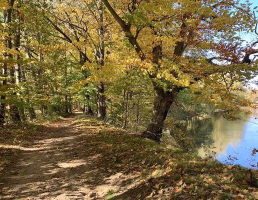 River trails