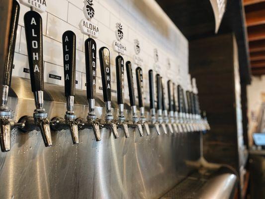 13 styles of beer on tap!