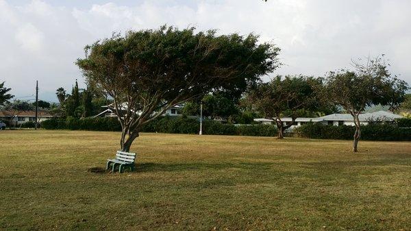 Kailua Beach Park