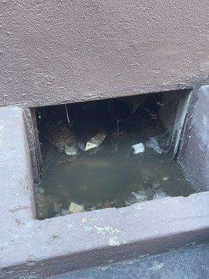 More raw sewage sitting under the building at 8017 Selma Avenue.