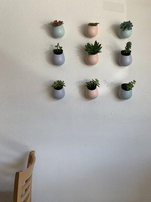 Cute succulent wall :)