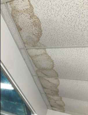 Mold & leaking seeing