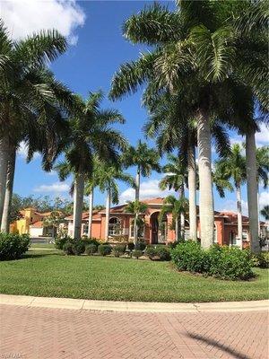 Yep. Those are palm trees! Helped my KY clients close on a beautiful Florida getaway!