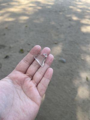 Piece of glass that was located by bench in dog park