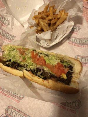 Steak and Cheese Hot Sub and fries