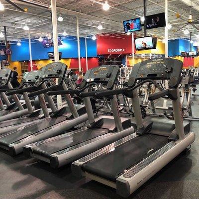 Top-notch cardio equipment.