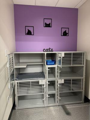 Cat only hospital ward. Separate litter box portals and perches in each area.