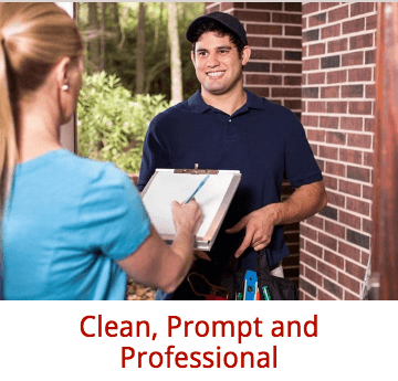 Clean, Prompt, Professional Service