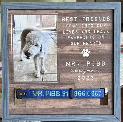 University of Minnesota Veterinary Medical Center