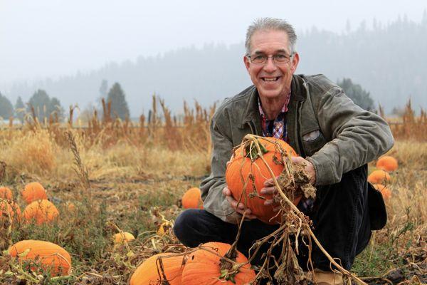 Pick your own pumpkins!