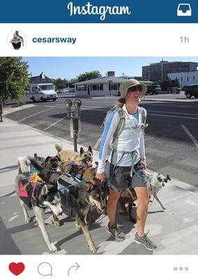 Featured by Cesar Millan.