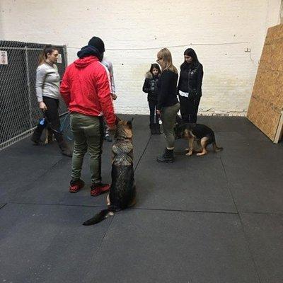 Obedience class!