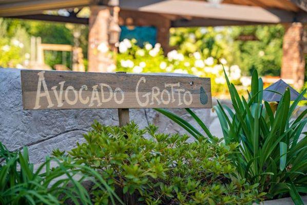 Avocado Grotto at our Carmel Nursery