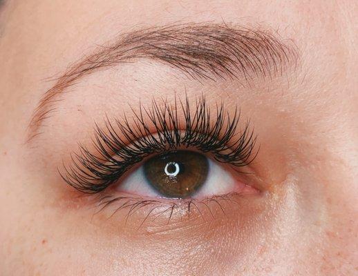 Classic Lashes